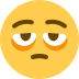 :face_with_bags_under_eyes: