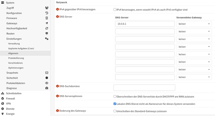 dns1